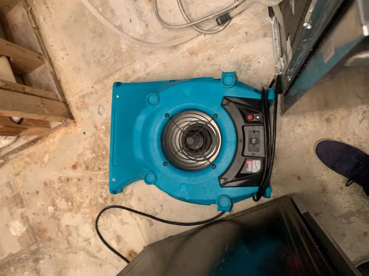 Air mover drying equipment for Mold Remediation & Removal in Wallingford